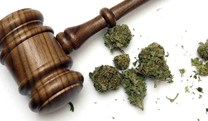 Gavel with cannabis