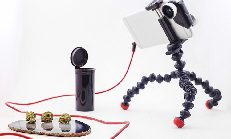 An iPhone with a macro lens attached mounted on a GorillaPod yripod pointed at cannabis flower