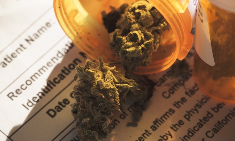 Cannabis flower in prescription bottles