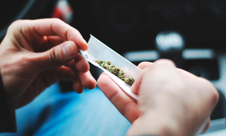 A person rolling a cannabis joint