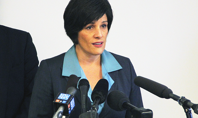Alison Holcomb, Director of the Campaign for Smart Justice for the ACLU, speaking to the media