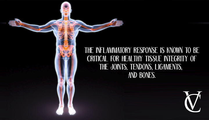 Why is your body's inflammatory response so crucial?