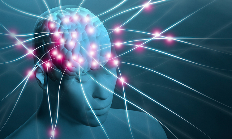 A digital render of a human head and brain with nerve synapses