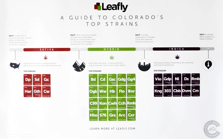 Colorado top strains poster