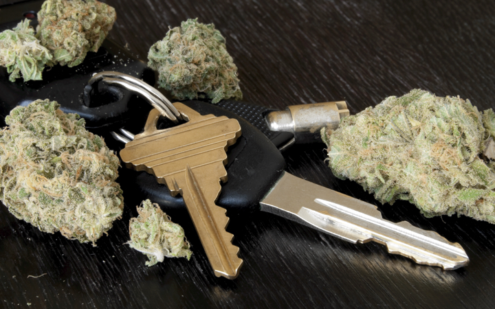 Car keys and cannabis buds