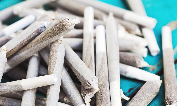 Pile of rolled cannabis joints on blue table