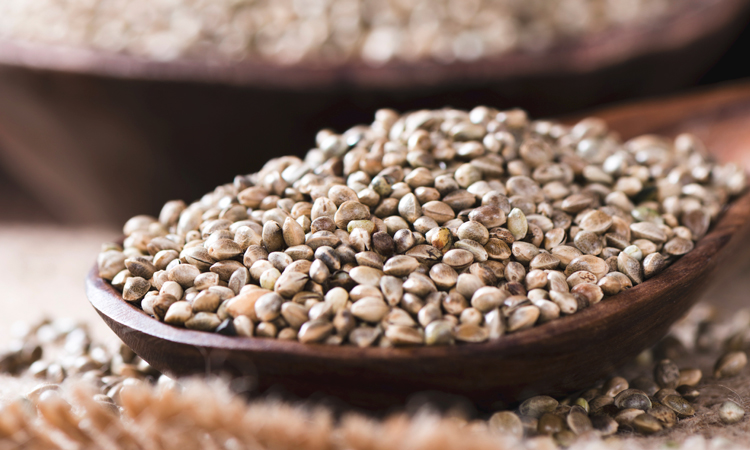 marijuana seeds in wooden bowl