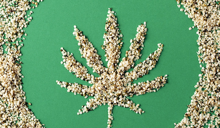 Hemp seeds
