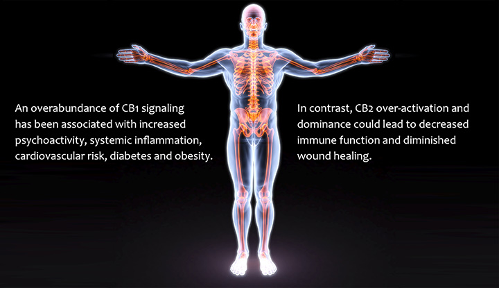 Imbalanced endocannabinoid system