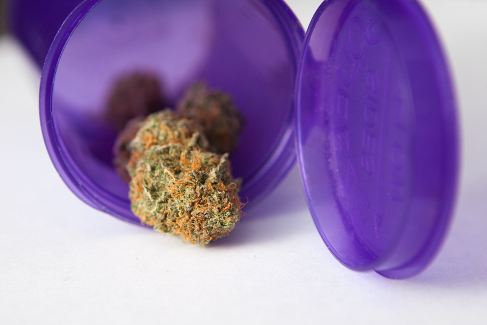 Cannabis Strain Highlight: The Great Grape Ape | Leafly