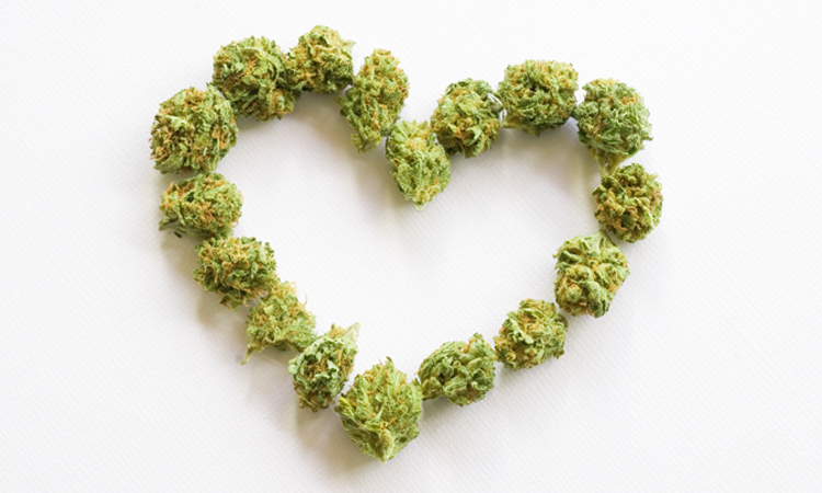 A heart made with cannabis flowers