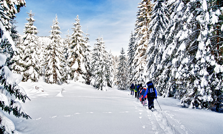 Group of people snow-shoeing in fresh powder on a sunny day