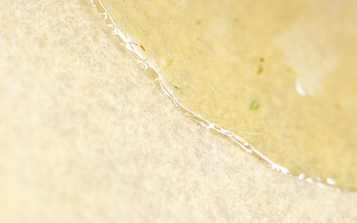 Solventless cannabis extract