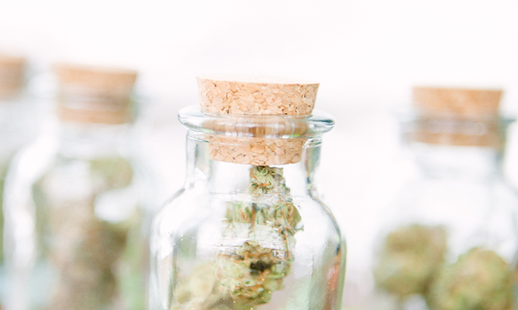 Four glass cork-top jars filled with cannabis in front of a white background