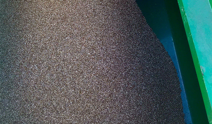 Container full of hemp seeds