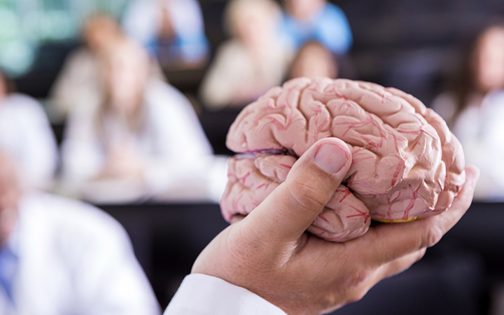 Consuming marijuana only produces a little dopamine